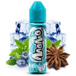 Momo on Ice - Slam Berry (Blaubeeren, Minze, Anis) | 20ml Aroma in 60ml Flasche