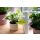 PelegDesign - Leaflow Bew&auml;sserungshilfe f&uuml;r Topfpflanzen | 3Stk. |