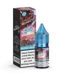 Twelve Monkeys - Iced SANCTUARY - Nikotinsalz Liquid 20mg/ml